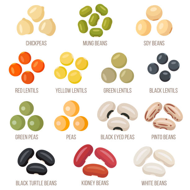 Beans Vector set of legumes. Flat style. lentil stock illustrations