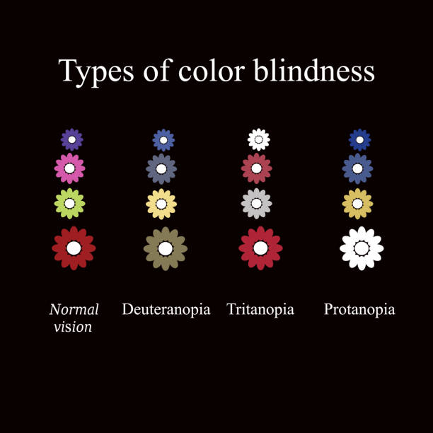 Types of color blindness. Eye color perception. Vector illustration on a black background Types of color blindness. Eye color perception. Vector illustration on a black background. colorblind stock illustrations