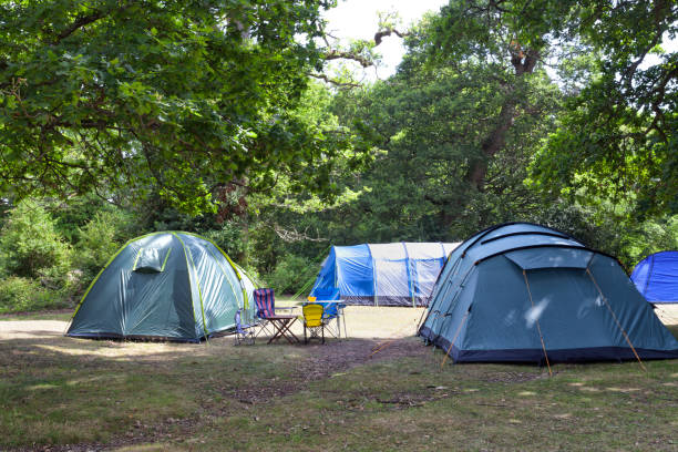 Blue and green family camping tents with table and chairs,  under oak trees in the woodland campground, on a sunny summer day . Wild camping under the trees in a forest . new forest photos stock pictures, royalty-free photos & images