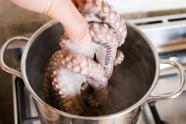 Octopus is going to be put in pot with boiling water. Fish cuisine, Italian tradition stock photo