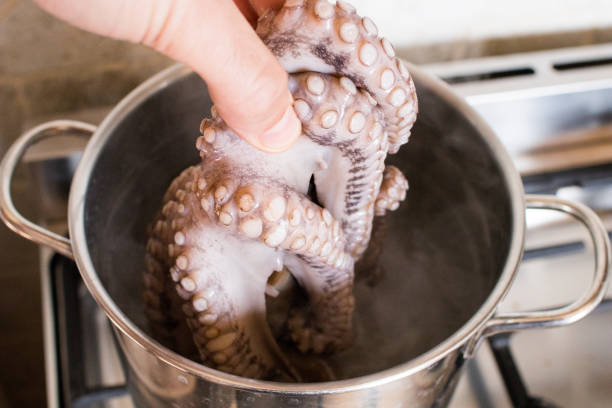 polvo vai ser colocado na panela com água fervente. cozinha de peixe, tradição italiana - freshness fish food seafood - fotografias e filmes do acervo