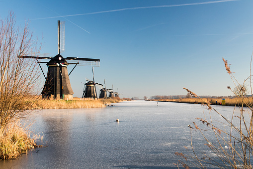 Kinderdijk park in Holland, Netherlands with frozen canals in winter. Windmills and ice in the canals with brown vegetation