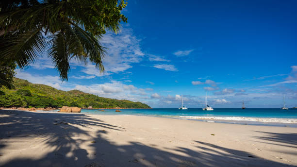 istock Catamarans at anse lazio on the seychelles 12 864592706