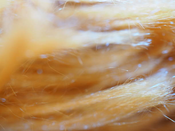 istock Macro yellow brown synthetic fiber fur, horizontal arranged 864595542