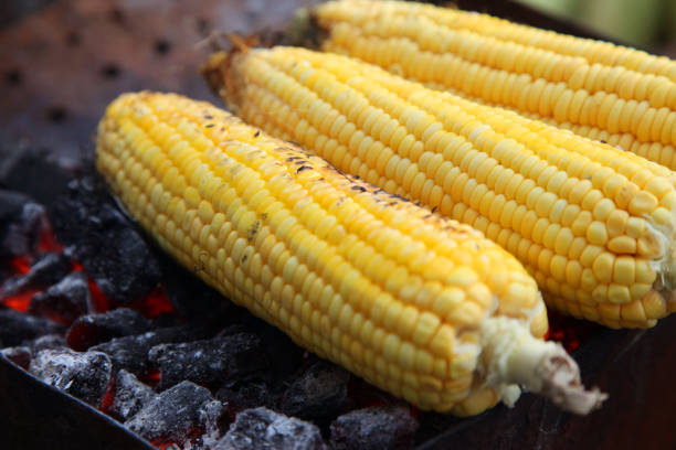 istock Fresh roasted or grilled corncobs. Grilled Corn for sale on the street. 864595814