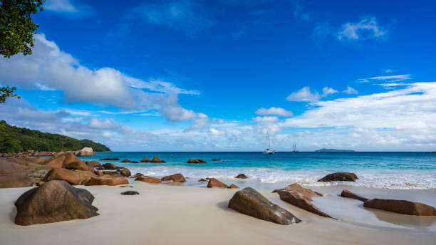 istock Catamarans at anse lazio on the seychelles 54 864613302