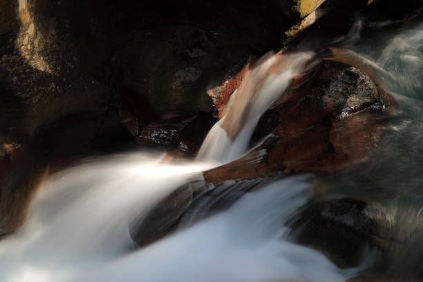 istock Avalanche Creek Glacier National Park 864614038