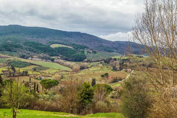 istock landscape near San Gimignano, Italy 864615730