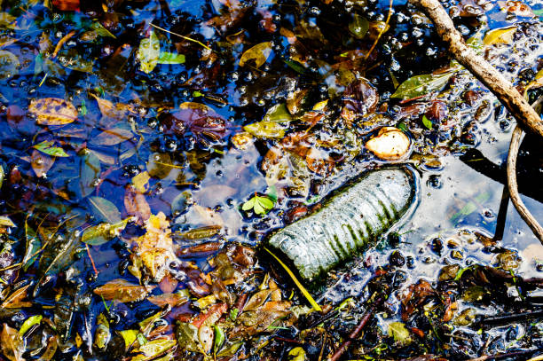 plastic bottles people throw into the waterways.