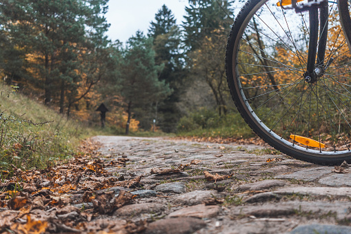 A close-up view of bicycle on a fall background
