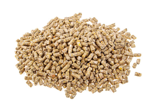 istock Pile of compound feed pellets isolated on a white background 864619194