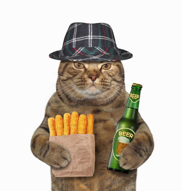 istock Cai with beer and cheese sticks 864625582