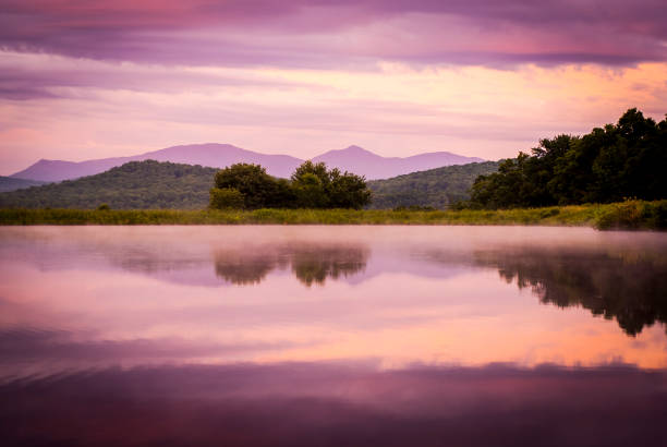 Purple Green Mountains