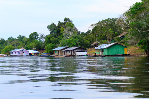 istock Houses along Amazonas river. Brazilian panorama 864630746
