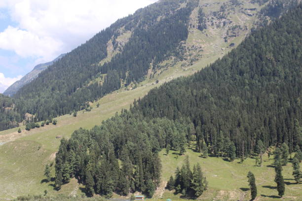 istock The Vale of Pahalgam Jammu and Kashmir . 864637474