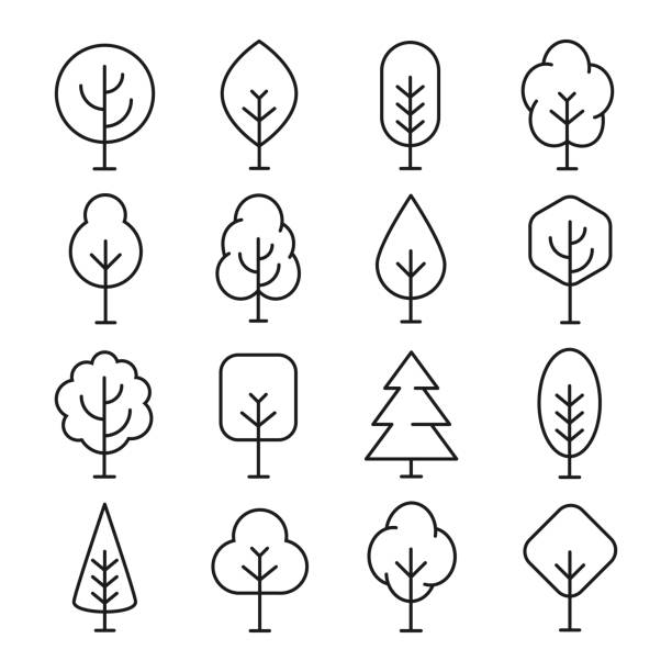 트리 라인 아이콘 - tree outline branch forest stock illustrations