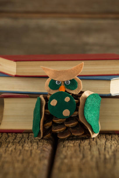 istock Owl decorated with pine cone and book stack on wooden table 864648426