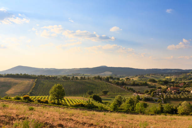 istock Tuscany hills landscape, Italy 864650224