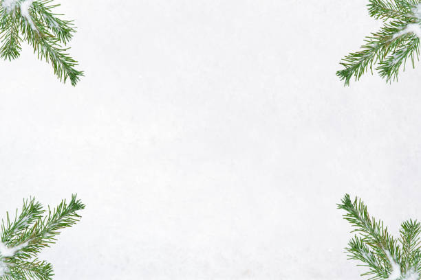 istock Christmas background with fir branches in the corners and copy space. 864653942