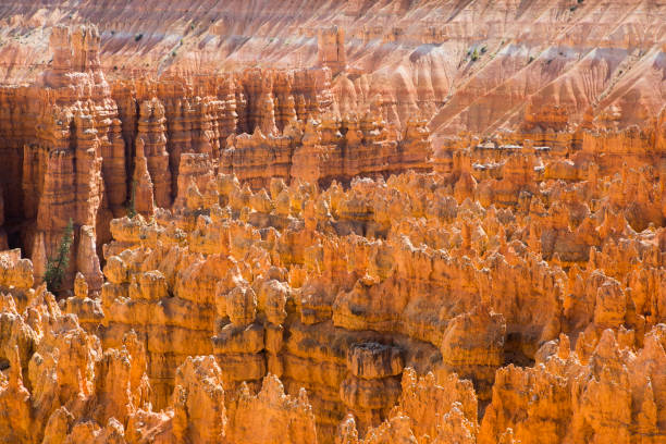 Cliffs and hoodoos at Bryce Canyon National Park, Utah
