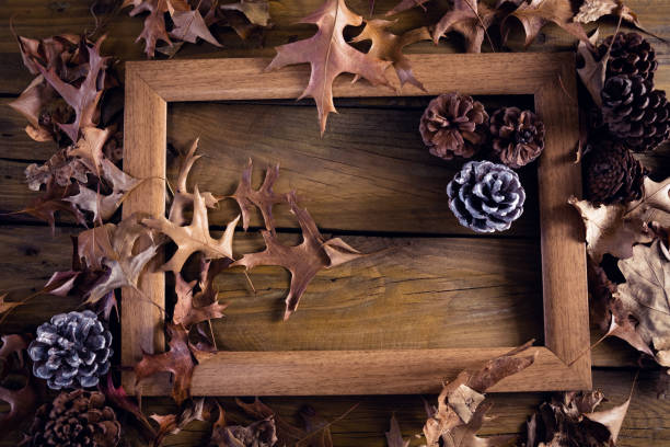 istock Frame and dry leaves on wooden plank 864684632