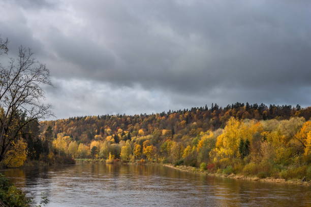 istock Red and yellow trees in autumn in Sigulda 864684934