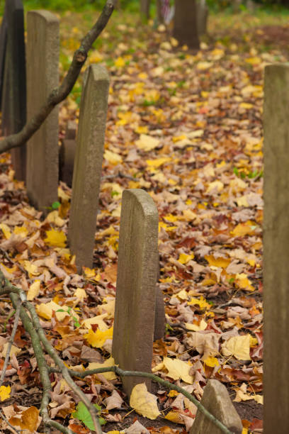 istock Old Tombstones in Cemetery 864685774