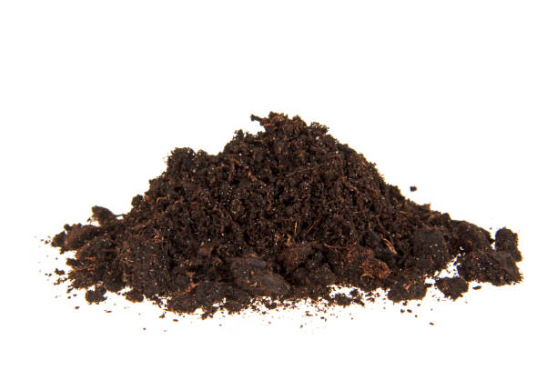 Pile heap of soil humus isolated on white background