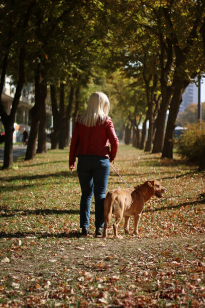 istock Woman walking at park with her dog 864690736