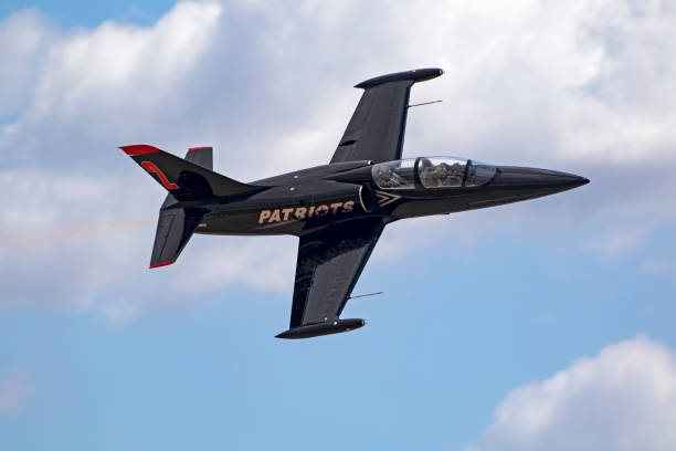 aereo patriots l-39 albatross jet - albatross foto e immagini stock