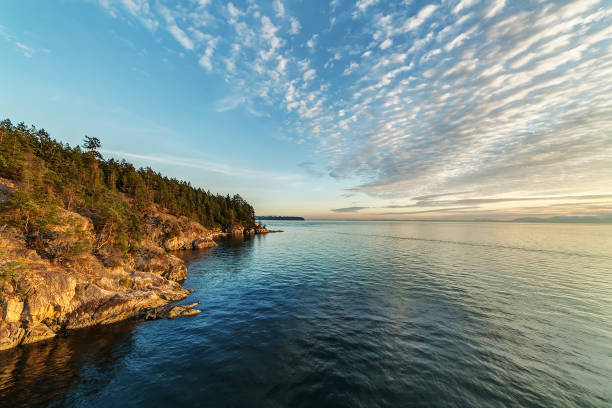 istock rocky landscape in Lighthouse Park, West Vancouver, BC, Canada 864704510