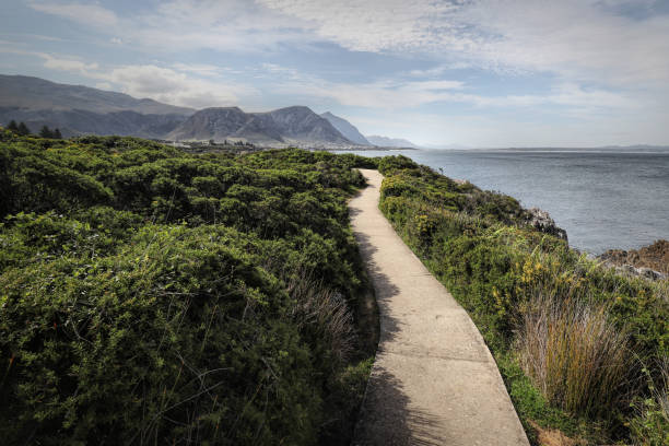 paisagem de mar e costa em hermanus, áfrica do sul - south africa coastline sea wave - fotografias e filmes do acervo