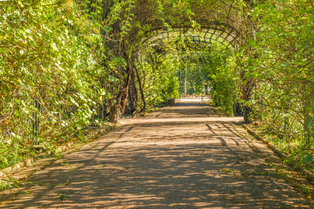 istock El Rosedal Park, Montevideo, Uruguay 864705078