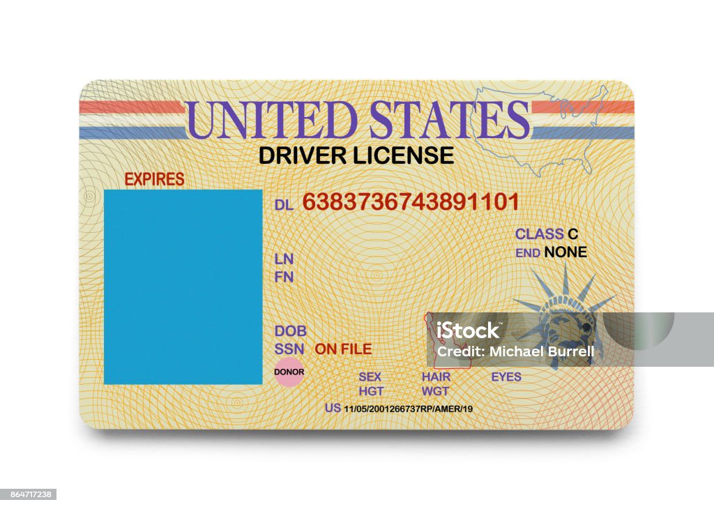 Blank Driver License National ID Driver License with Copy Space Isolated on a White Background. Driver's License Stock Photo