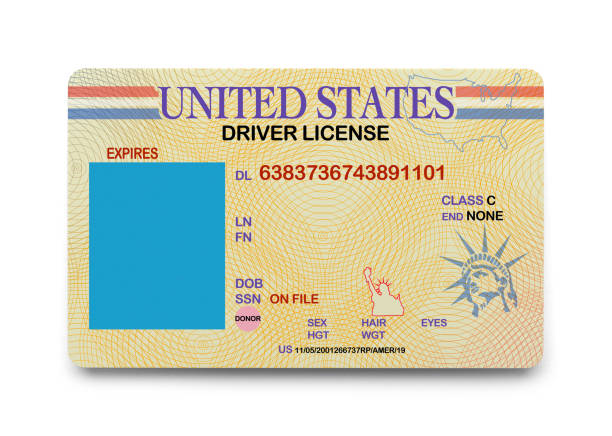 Blank Driver License National ID Driver License with Copy Space Isolated on a White Background. identity card stock pictures, royalty-free photos & images