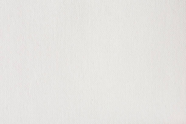 texture de toile enduite par apprêt blanc - toile à peindre photos et images de collection