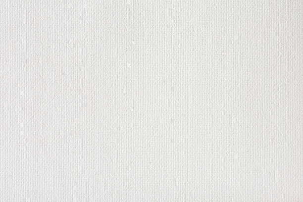 Canvas texture coated by white primer Canvas texture coated by white primer. High resolution photo. linen stock pictures, royalty-free photos & images