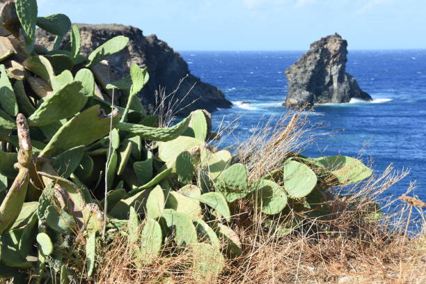 istock rough sea with lava cliff 864717524