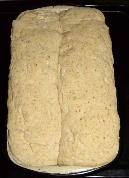 istock A dough for bread, kneaded into loafs and ready for baking 864718172
