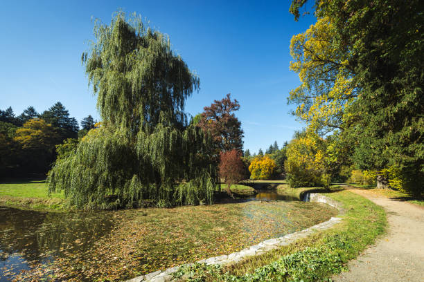istock Rural autumn landscape 864720844