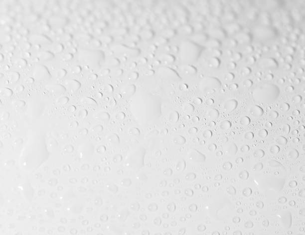 istock water drops on a white background. close-up 864721802