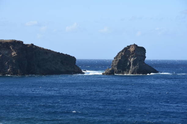 istock rough sea with lava cliff 864721894