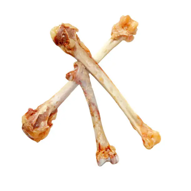 Poverty concept.Three crossed picked chicken bones isolated on white background.