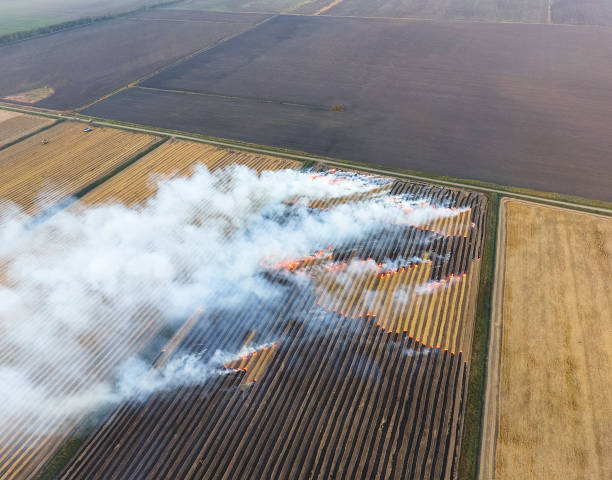 istock Burning straw in the fields after harvesting wheat crop 864735660