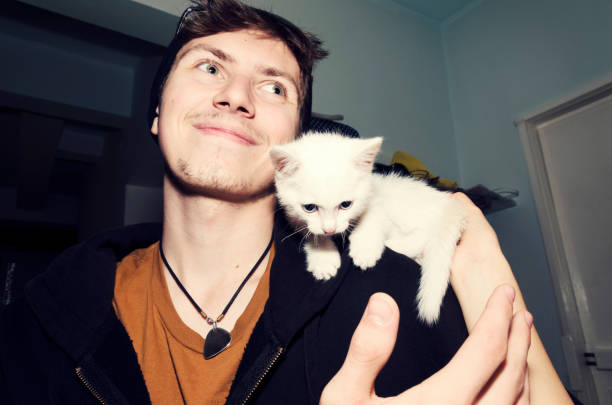 Boy Kitten Love Cute Friendship Caress Selective focus