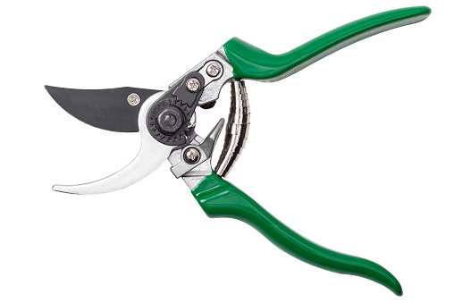 Professional garden pruner or scissors or secateurs isolated on white background with clipping paths