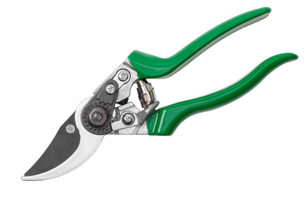 istock Garden pruner isolated on white 864742448