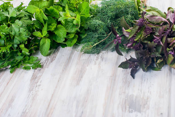 istock fresh spicy herbs, dill, basil, parsley, mint 864742516