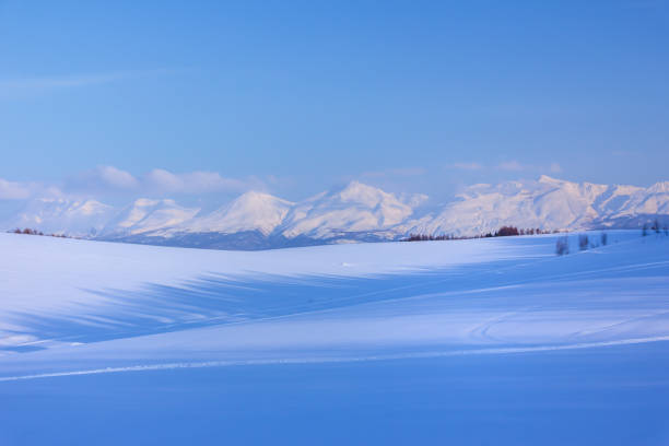 istock Biei in winter and  Mt.Tokachi 864742520