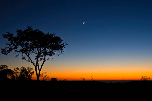 istock Silhouette at the sun rising 864746518